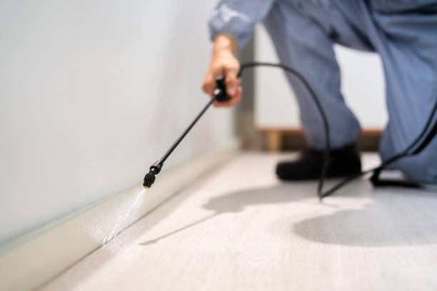 Licensed Termite Control service in Ben Wheeler, TX - Nex Pest Control