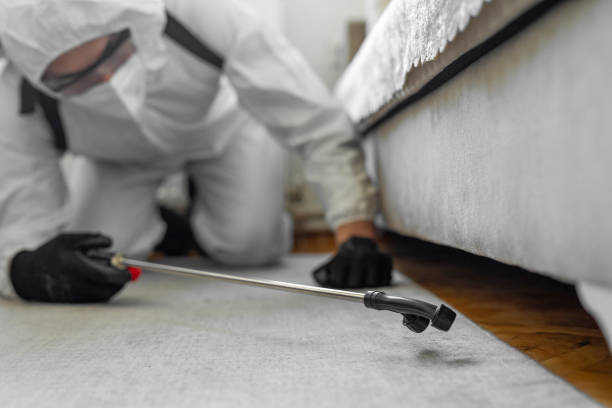 Professional Termite Control technician working in Ben Wheeler, TX
