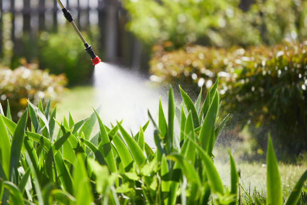 24/7 Emergency Termite Control experts in Ben Wheeler, TX