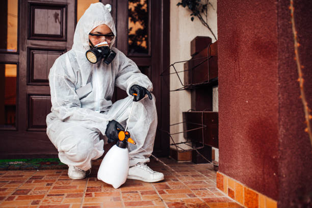 Reliable Termite Control contractor in Ben Wheeler, TX by Nex Pest Control