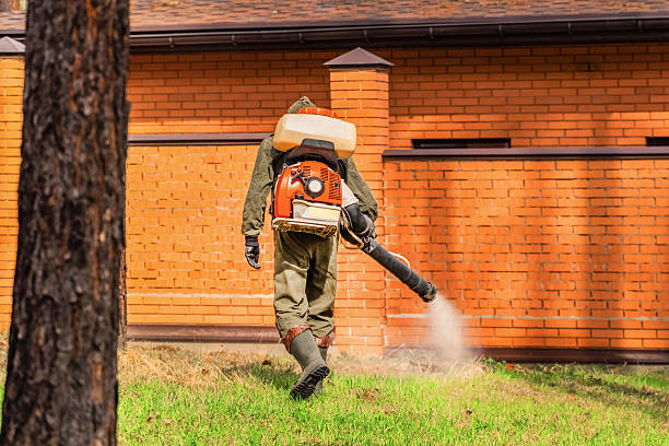 Top rated local Termite Control specialists in Ben Wheeler, TX